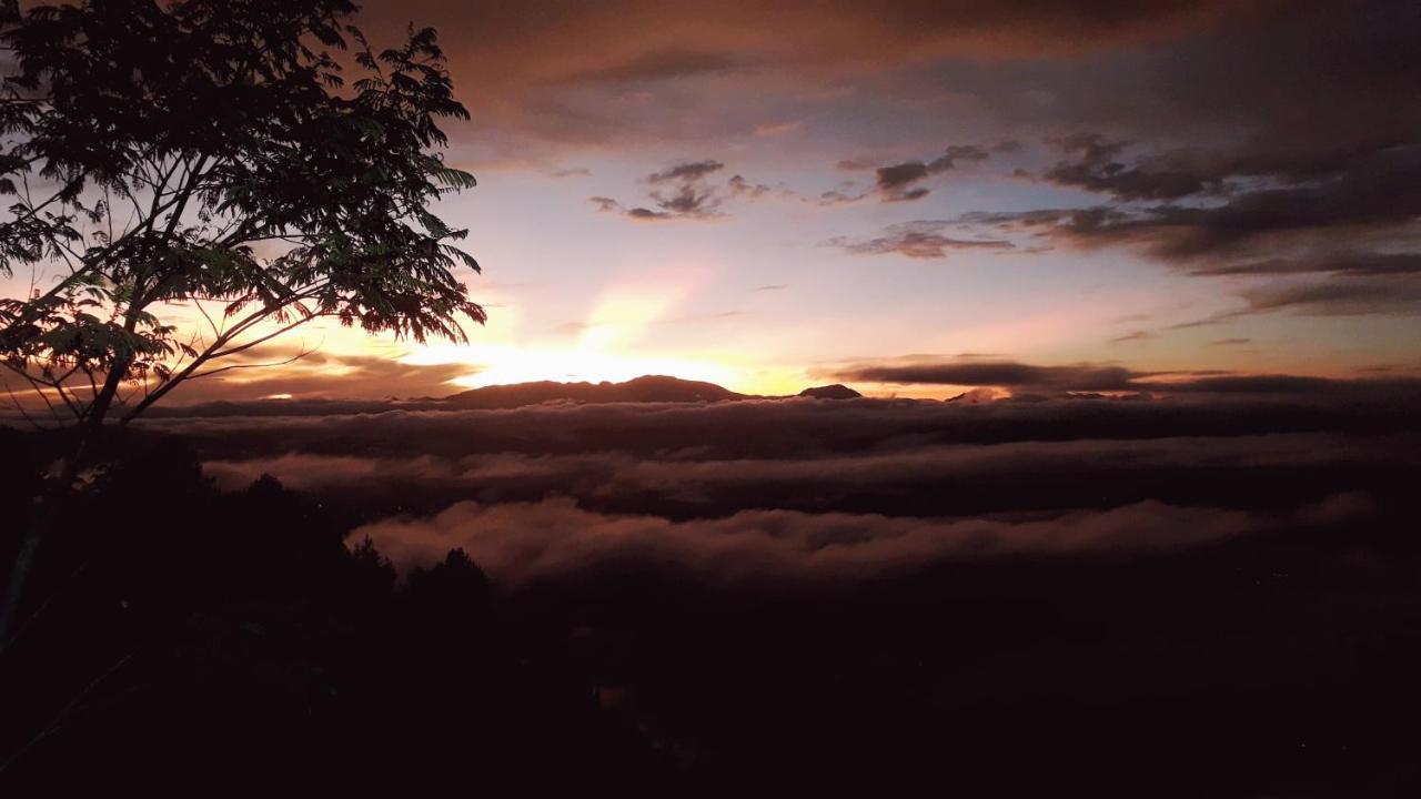Toraja Manubackpacker Hotel รานเตเปา ภายนอก รูปภาพ